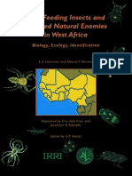 Rice Feeding Insects and Selected Natural Enemies in West Africa PDF