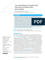 Differences in Enamel Thickness in Quagga