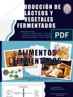 Expo. Biotecnologia - Vegetales Fermentados