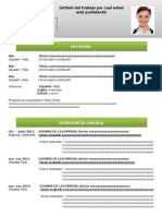 24-hoja-de-vida-focus-verde.docx