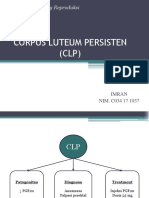 Corpus Luteum Persistem (CLP)