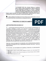 Principios de Derecho Ambiental