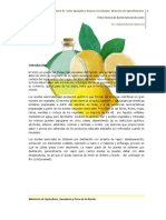 02Feb_limon info para 2 año.pdf