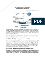 Sistema Aerobio e Anaerobio Transferencia de Energia PDF