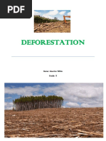 Deforestation