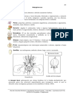 31. Malpighiaceae.pdf