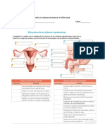 Guia Del Sistema Reproductor Femenino y Masculino