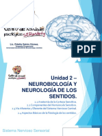 Unidad 2-NEUROBIOLOGÍA Y NEUROLOGÍA DE LOS SENTIDOS PDF