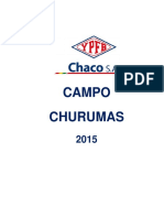18 Campo CHU 2015.pdf