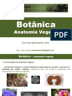 Botânica - Anatomia Vegetal Para PV
