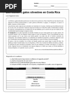 Leng Comprensionlectora 5y6b N2