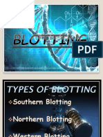 Blotting