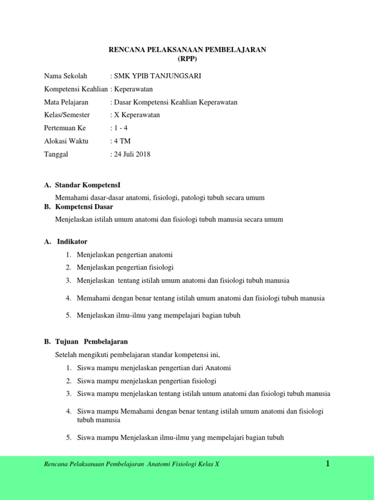 Rpp Anatomi