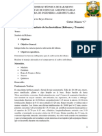 Informe Del Sembrío de Las Hortalizas - Reyes