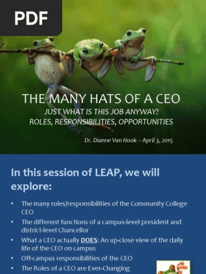 The Many Roles Of A Ceo | Pdf | Chief Executive Officer | Employment