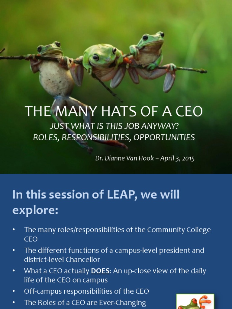 Community College CEO Roles Explained | PDF | Chief Executive Officer ...