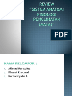 Review Anatomi Fisiologi Penglihatan