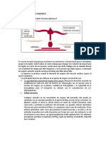 Enfermedad Coronaria Isquémica