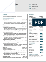 Oseph Uffalo: Digital and Retail Sales & Marketing Product & Customer Management Strategic Planning and Analysis