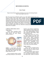 anatomi retina.pdf