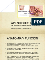 apendicitisaguda-151005234425-lva1-app6892 (1)