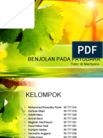 MODUL 1 Benjolan Pada Mammae