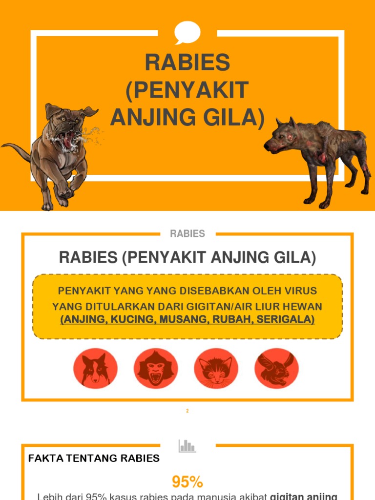 Bahaya dan Pencegahan Rabies pada Manusia | PDF | Kesehatan Holistik
