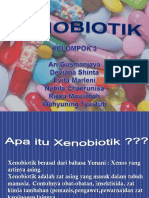 Xenobiotik