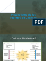 Metabolismo Hidratos de Carbono