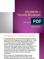 Kelompok 4 Tulang Belakang