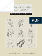 Guia-vegetación-humedales-UNAM.pdf