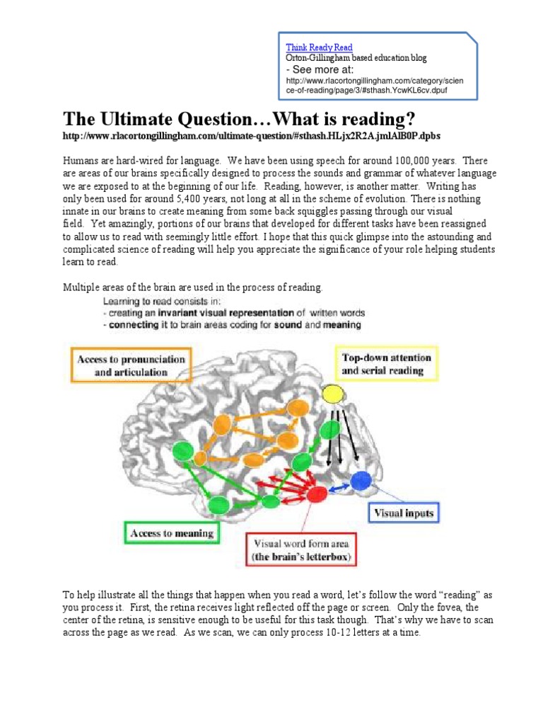 0The Ultimate Question What Is Reading PDF Reading (Process) Word