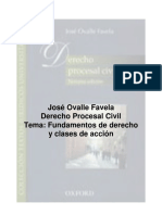 Fundamentos_de_derecho_y_clase_de_acción.pdf