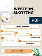 Western Bloting