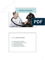 TEMA 2. Orden Primate (Filogenia de Los Primates) Power