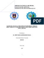 Calidad Del Agua Río Piura Índice BMWP 2018