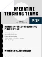 cooperative teaching teams sped 381