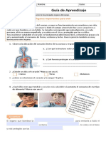 Guia Ciencias Los Organos 1