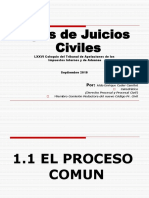 Presentacion Sobre Juicios Civiles Por Lic. Aldo Cader