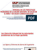 14 La Atencion Integral de Los Principales Problemas de La Mujer Gestante de Salud Del Niño y Salud Cv