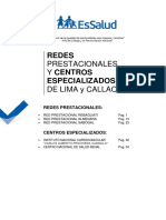 DIRECTORI Redes Lima PDF