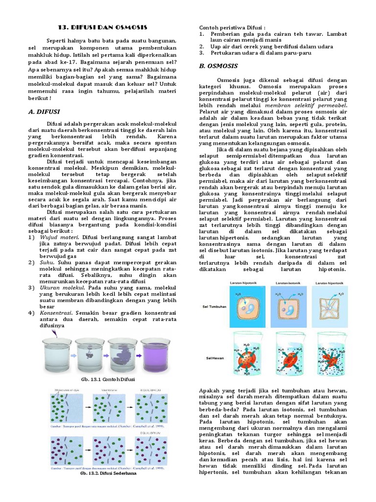 Handout Difusi Dan Osmosis PDF