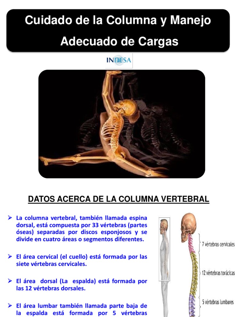 Cuidado y Manejo de la Columna Vertebral | PDF | Vértebra | La columna ...