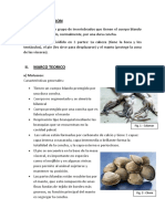 ANALISIS DE CARACTERISTICAS DE MOLUSCOS.docx