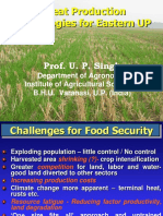 Wheat Production Technologies for Eastern UP