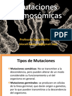 Mutaciones Cromosómicas