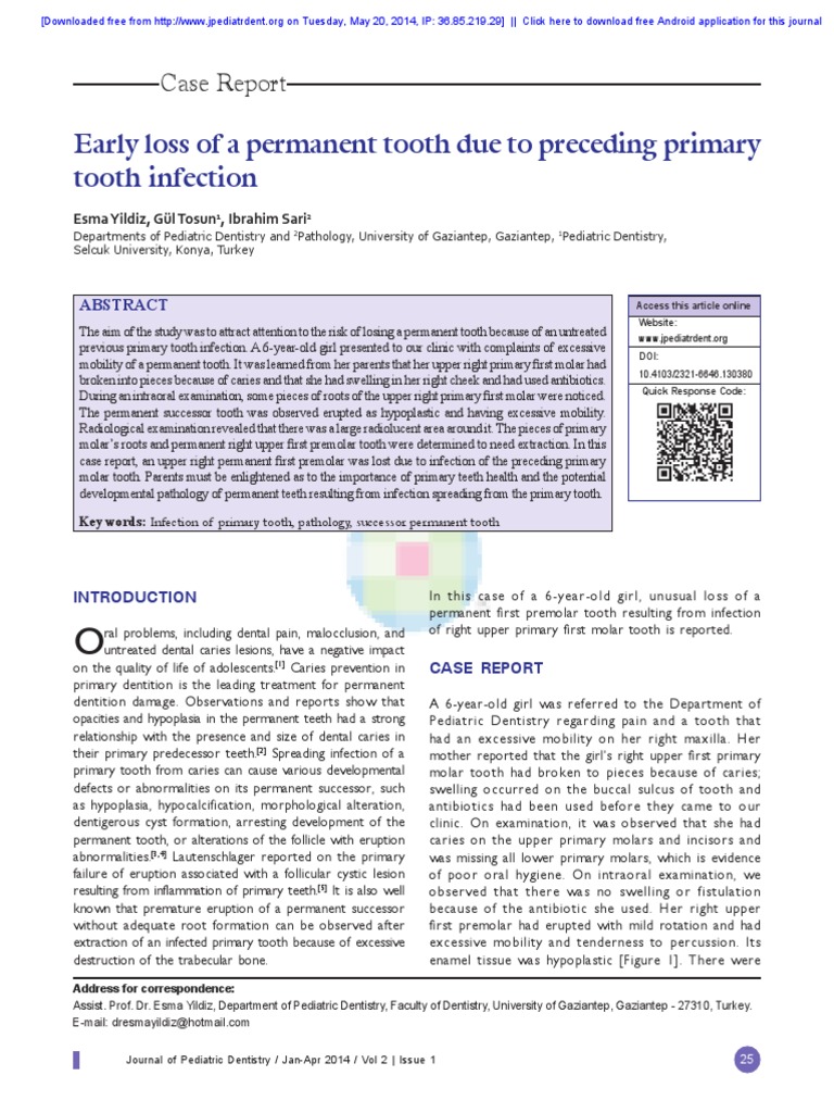 The Effects of Orthodontic Therapy | PDF | Human Tooth | Dentistry