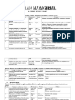 6 Plan Managerial