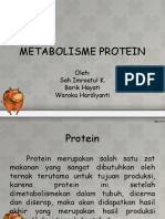 Kelompok 12 - Metabolisme Protein