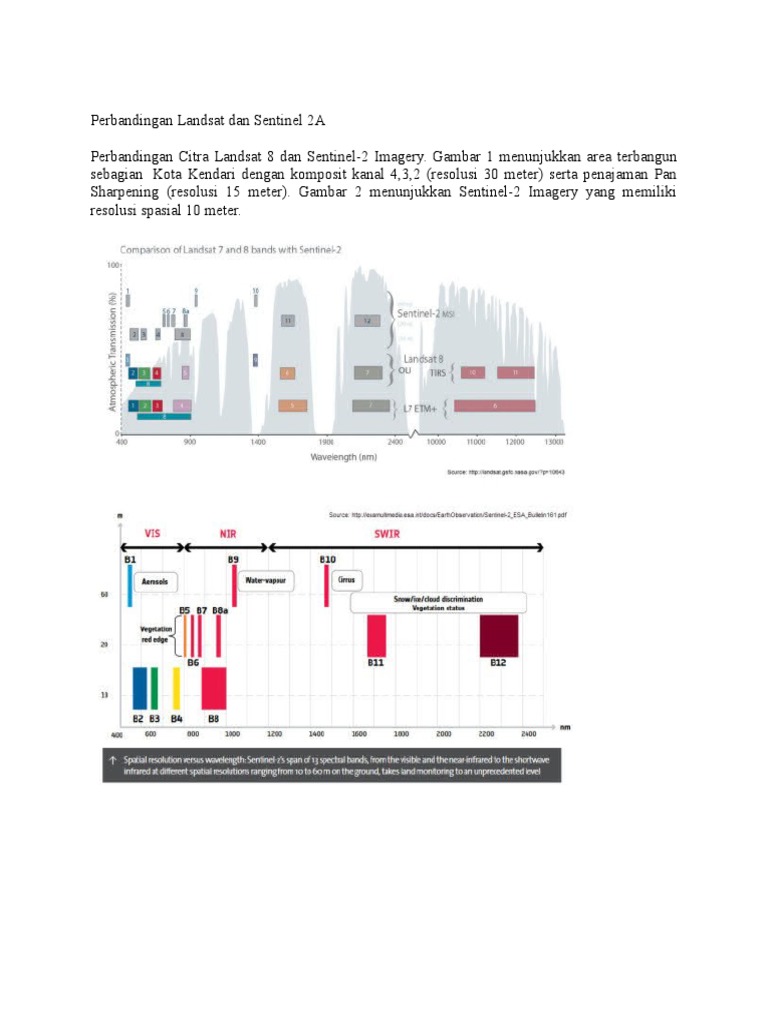 Landsat Dan Sentinel 2A | PDF